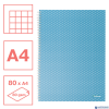 Kołonotatnik Colour Breeze A4, w kratkę, niebieski Esselte 628476